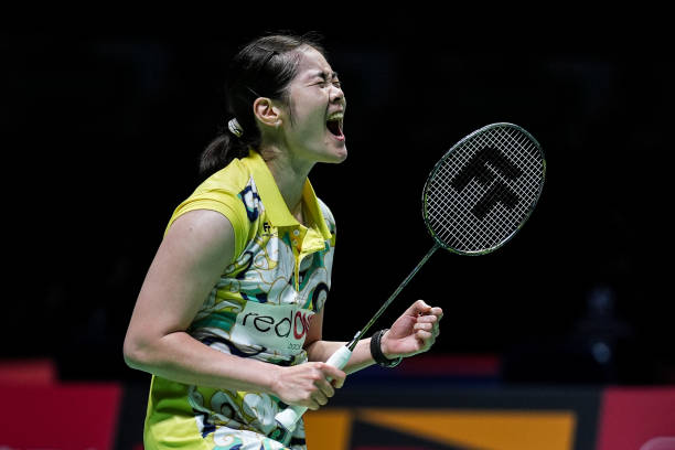 陶菲克世锦赛表现：从2005年夺冠到退役前的辉煌