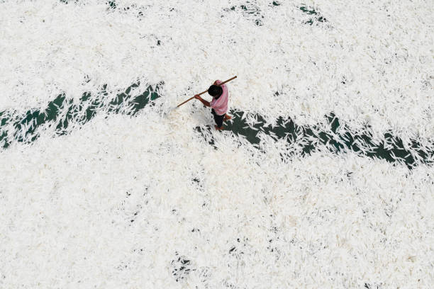 预算有限怎么选？2024年100元内热门羽毛球拍盘点