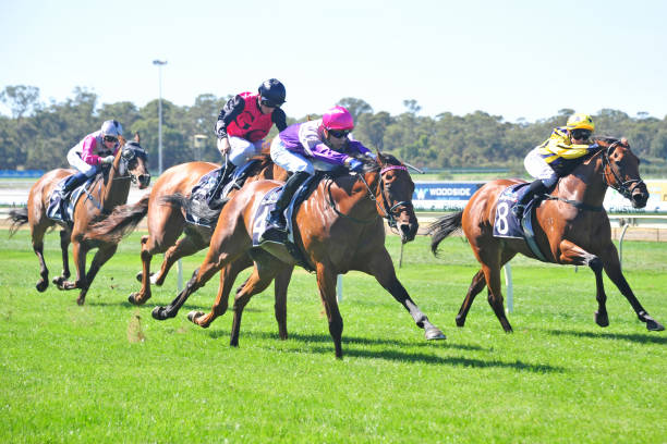 坎宁安首秀高光时刻:展现全能身手与领袖气质
