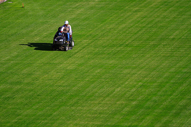 大罗的爆发力 vs 小罗的创造力:谁更胜一筹?