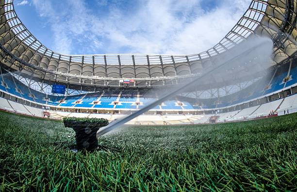 数据说话:金球制胜和银球制胜的胜负概率统计分析