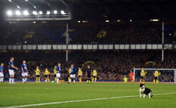 英超积分榜2025:新晋球队表现令人惊艳