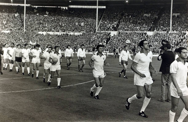 克林斯曼和科沃斯哪个更值得买?详细对比指南