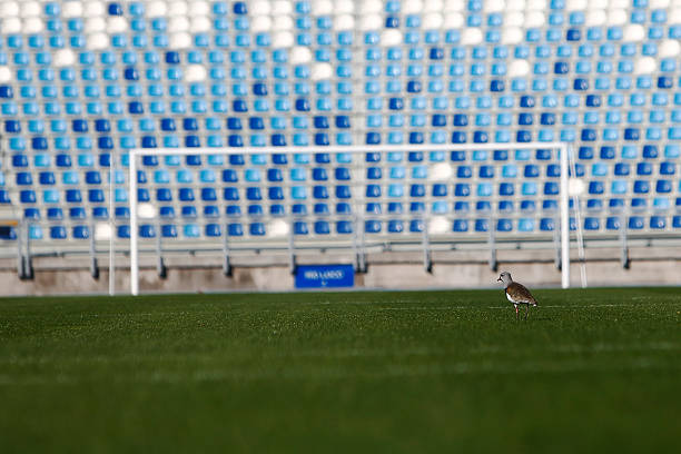 射门技术强化!国家队公布最新训练名单,谁是最强射手?