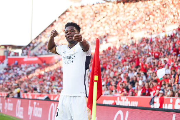 谁说猫不会踢球？黑猫带球射门实力圈粉